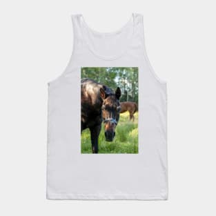 Horse Portrait Tank Top